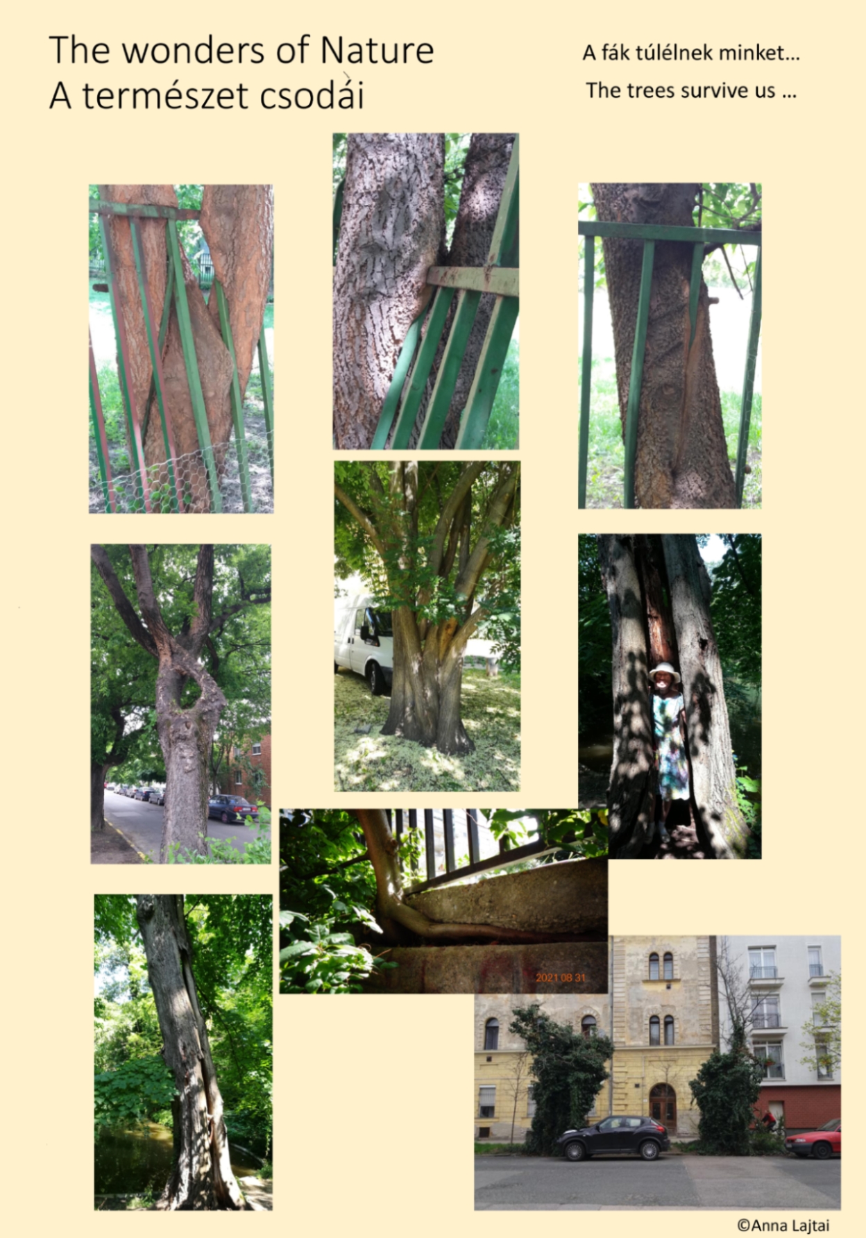 A természet csodái kicsi